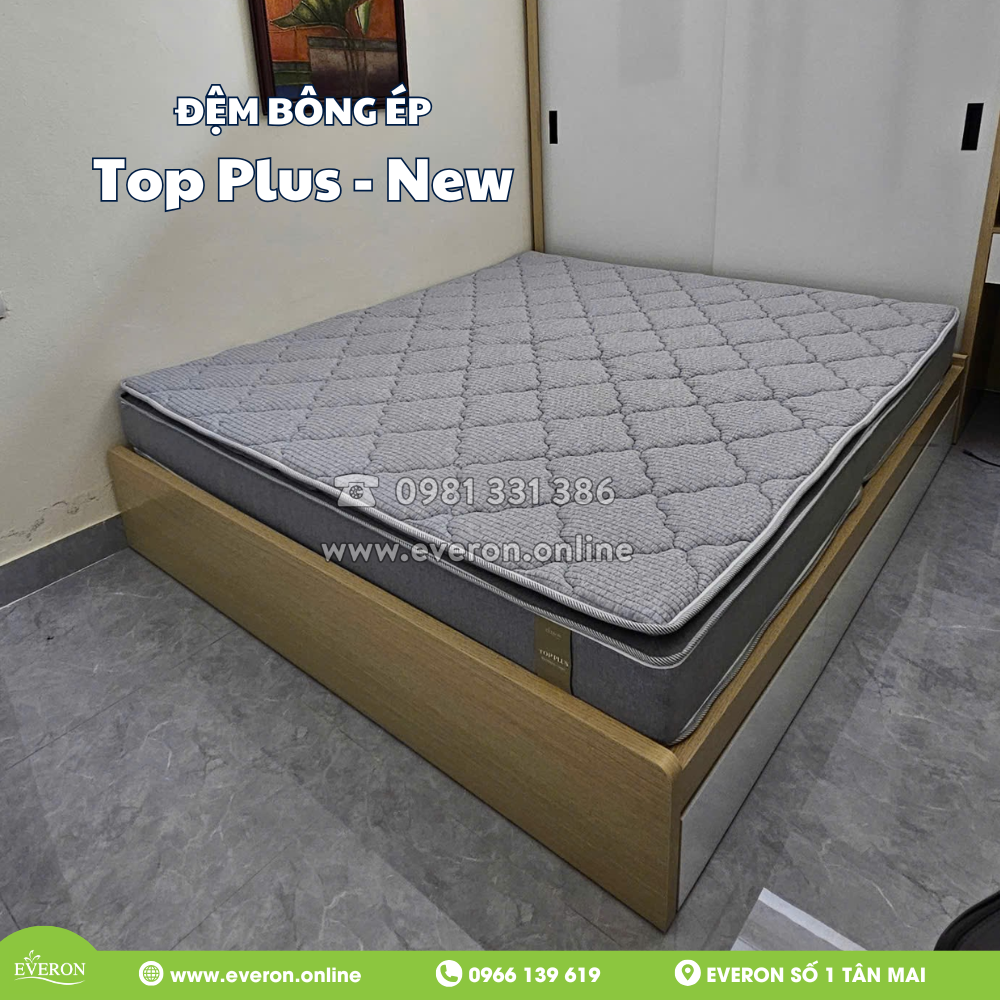 ĐỆM BÔNG ÉP TOP PLUS – NEW: GIẤC NGỦ CHẤT LƯỢNG