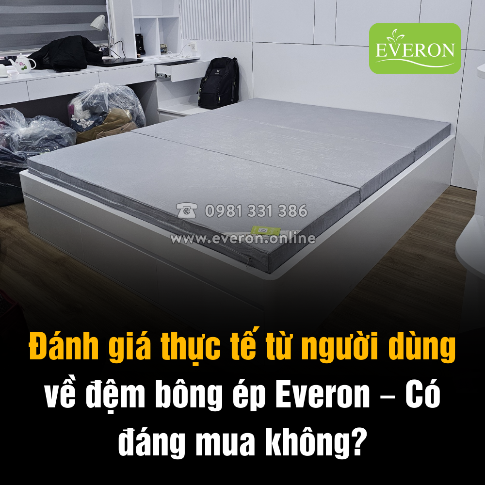 Đánh giá thực tế từ người dùng về đệm bông ép Everon – Có đáng mua không?