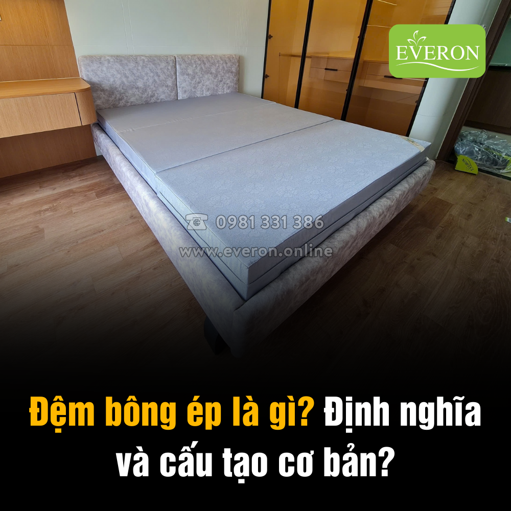 Đệm bông ép là gì? Định nghĩa và cấu tạo cơ bản?