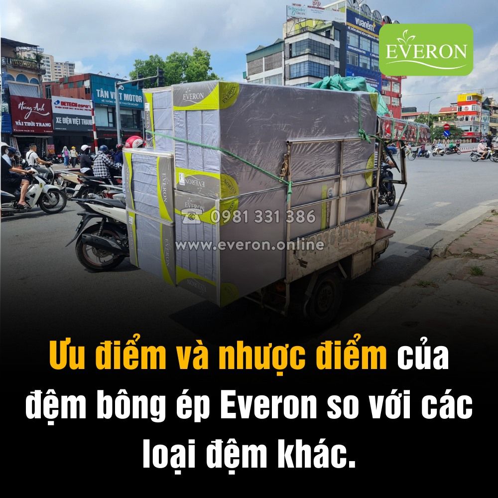 Đệm bông ép Everon