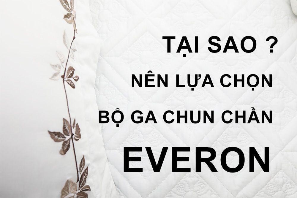 tai-sao-nen-lua-chon-bo-ga-chun-chan-everon