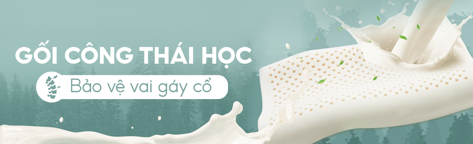 https://file.hstatic.net/1000226014/collection/goi_cao_su_c2aee5611b4c4362abeeeef402f5a2c0.png