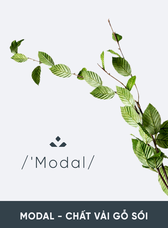 So sánh vải Modal và Cotton, chất liệu nào làm chăn ga gối tốt hơn