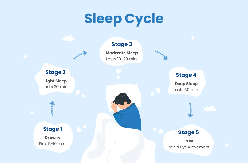 Chu kỳ giấc ngủ là gì? Cách tính chu kỳ giấc ngủ chính xác bằng website