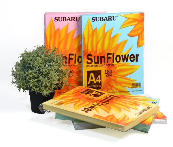 Giấy bìa màu A4 Subaru Sunflower BC-C03