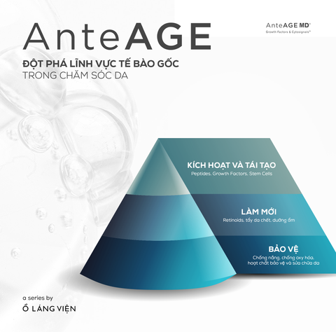 ANTEAGE ĐỘT PHÁ LĨNH VỰC TẾ BÀO GỐC TRONG CHĂM SÓC DA