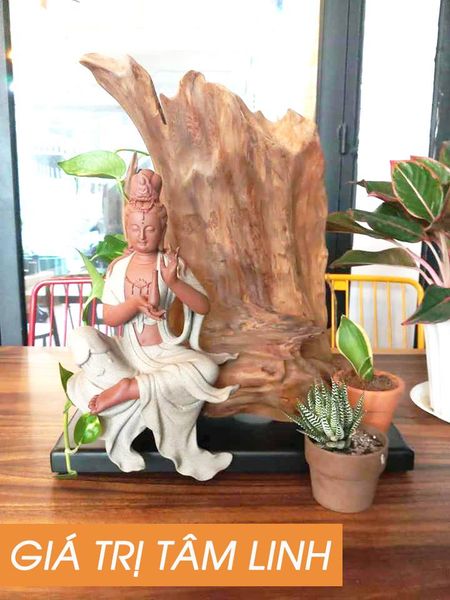 GỖ VÀ Ý NGHĨA PHONG THỦY/ WOOD & FENGSHUI - Bazango Outlet