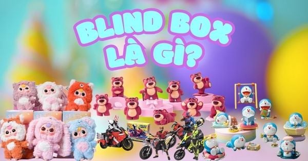 Blind Box là gì, mua ở đâu? Vì sao hộp mù, túi mù lại hot trend đến thế?