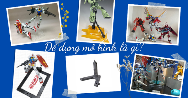 Đế dựng mô hình là gì, có bao nhiêu loại, tác dụng từng loại ra sao?