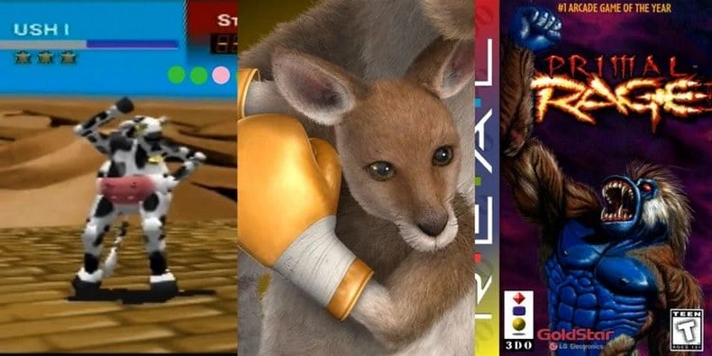 Một chú bò đang vô thế &nbsp;trên sa mạc, một con Kangaroo tay đeo găng đấm bốc