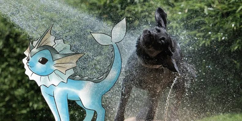 Pet của bạn sợ tắm, ước gì nó có khả năng hấp thụ nước của Pokemon