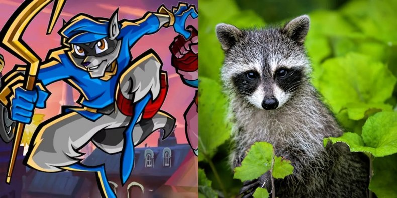 Gấu mèo Sly Cooper The Raccoon