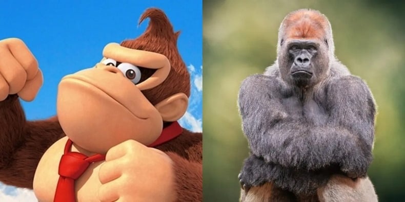 Khỉ đột Donkey Kong The Gorilla