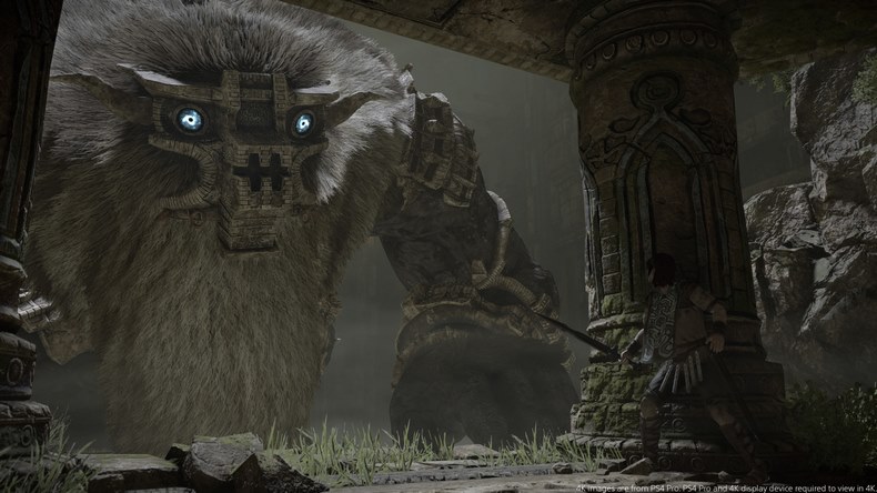 Shadow of the Colossus được đánh giá là một game đột phá  cả về art form