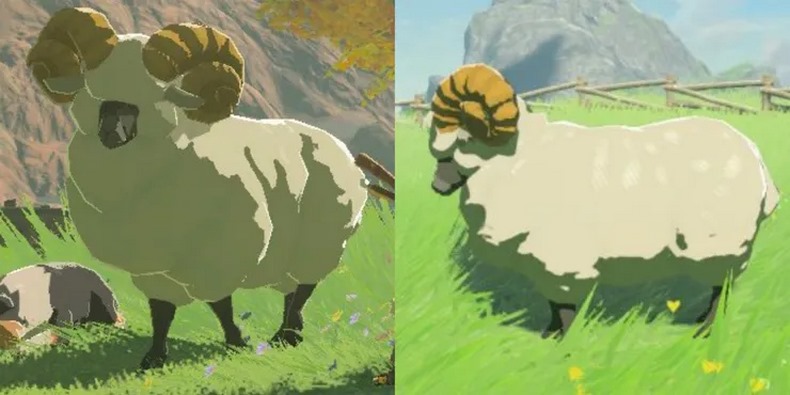 Cừu Cao Nguyên trong The Legend Of Zelda: Breath Of The Wild