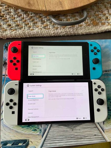 Switch chắc chắn sẽ được Nintendo hỗ trợ hết mình trong một thời gian dài