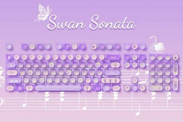Bộ Keycap bàn phím cơ AKKO Swan Sonata 140 nút đẹp mắt tương thích hoàn hảo với nhiều bàn phím cơ