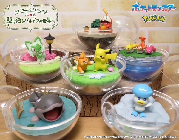 Shop hobby bán Mô hình Pokemon Terrarium Collection EX Explore the Paldea Region trang trí trưng bày góc học tập làm việc phòng khách phòng ngủ