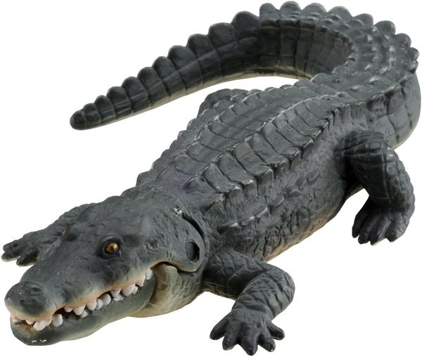 Mô Cá Sấu Sông Nile Ania AS-08 Nile Crocodile nhỏ gọn, dễ bảo quản và trưng bày
