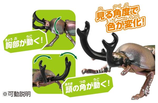 Mô hình Bọ Cánh Cứng Cầu Vồng Ania AS-42 Rainbow Stag Beetle đồ chơi mô phỏng sinh vật hoang dã chân thực