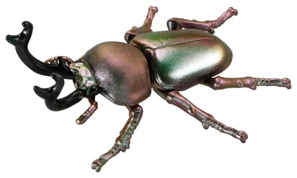 Mô hình Bọ Cánh Cứng Cầu Vồng Ania AS-42 Rainbow Stag Beetle hàng fullbox chính hãng Takara Tomy Nhật Bản