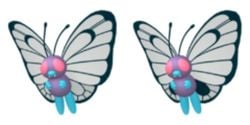 Butterfree