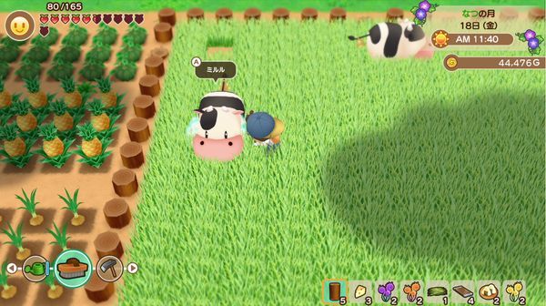 cách chơi game Story of Seasons Friends of Mineral Town switch