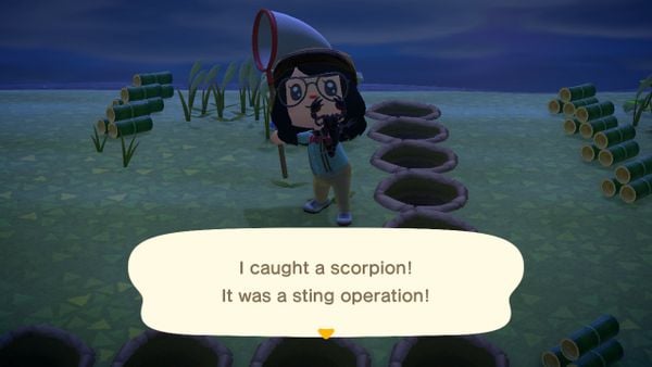 How to create Tarantula and Scorpion islands to plow money in Animal Crossing