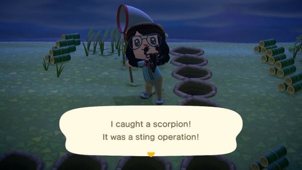 Cách tạo đảo Tarantula và Scorpion để cày tiền trong Animal Crossing