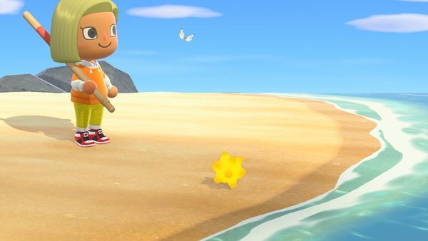 How to get the Star Fragment Animal Crossing New Horizons