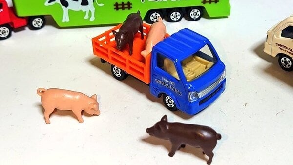 Đồ chơi mô hình xe Welcome Tomica Farm Truck Set xe chở gia súc màu xanh dương cam đẹp mắt chất lượng tốt chi tiết cao cấp giá rẻ chính hãng nhật bản