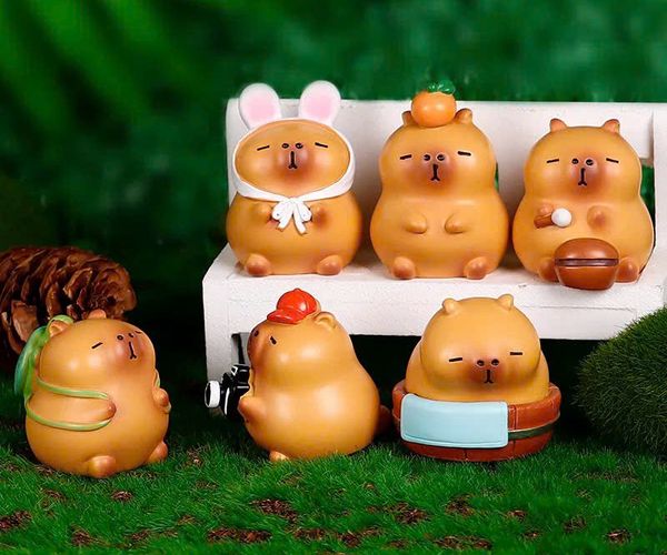 Mua Hộp Mù Capybara Đời Tươi Hồng Blind Box mở may mắn sưu tầm trưng bày cực xinh