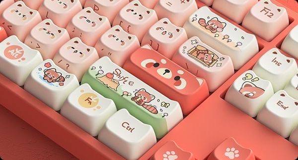 Bộ Keycap bàn phím cơ AKKO Raccoon MAO nút bấm sinh độc đẹp mắt dễ thương màu sắc đa dạng