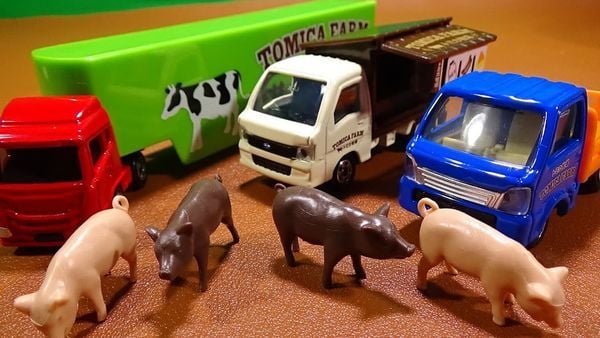Cửa hàng bán Đồ chơi mô hình xe Welcome Tomica Farm Truck Set đẹp mắt bền tốt giá rẻ có giao hàng toàn quốc nhiều ưu đãi mua làm quà tặng chủ đề trang trại