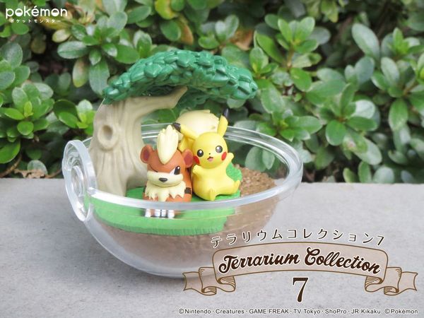 cửa hàng bán Pokemon Terrarium Collection 7 ở Việt Nam