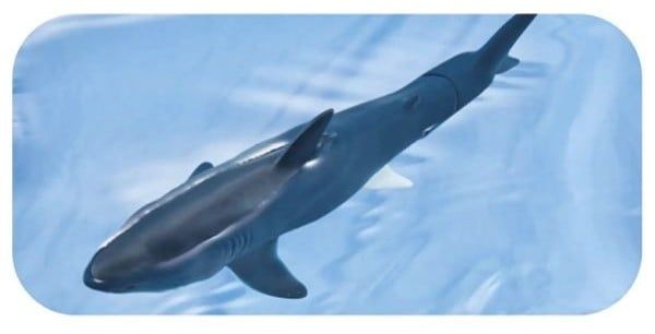 Ania AL-11 Megalodon Floating Ver - Cá Mập Khổng Lồ Có Thể Nổi Trên Mặt Nước
