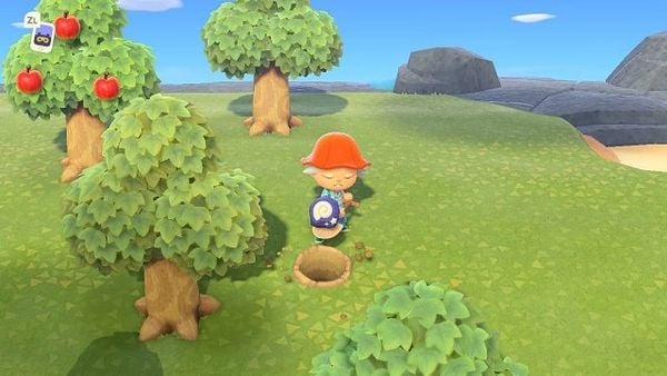 dao co  thach va buon ban animal crossing