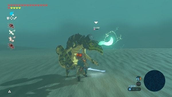 Lizalfos's blind spot