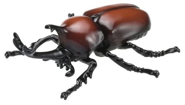 Mô hình Bọ Hung Sừng Chữ Y Ania AS-37 Japanese Rhinoceros Beetle kích thích trí tưởng tượng và khả năng kể chuyện