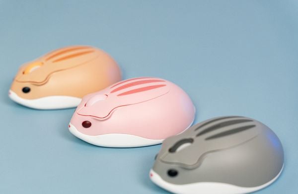 Chuột máy tính AKKO Hamster Plus Wireless chính hãng nút bấm nảy bền bỉ đầm tay hoạt động tốt chất lượng cao