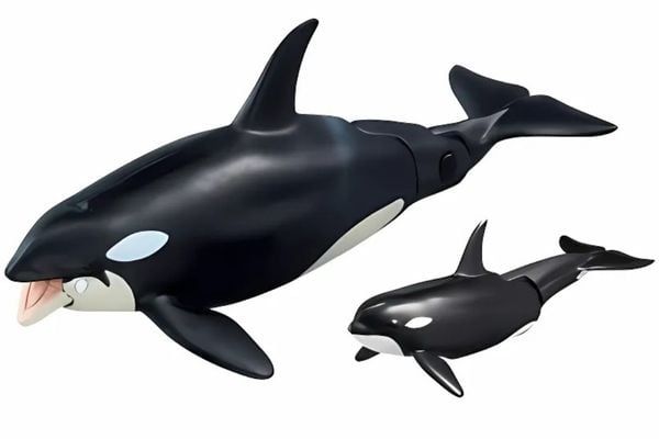Ania AL-08 Killer Whale Floating Ver - Mô Hình Cá Voi Sát Thủ Chân Thực