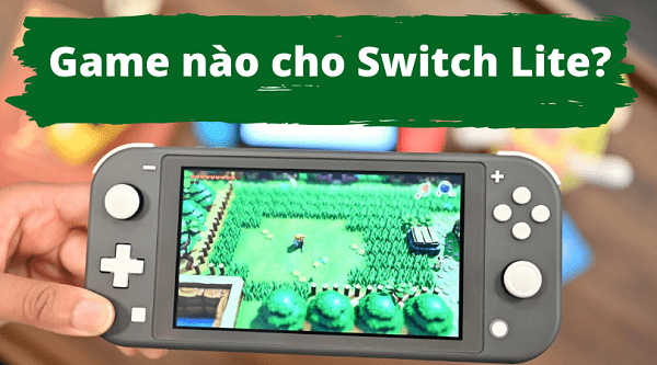 Nintendo Switch Lite Playable Game
