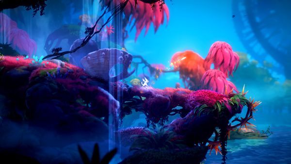 gameplay Ori and the Will of the Wisps Nintendo Switch