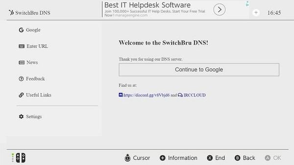 SwitchBru DNS interface