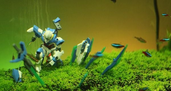 Gundam trong bể cá