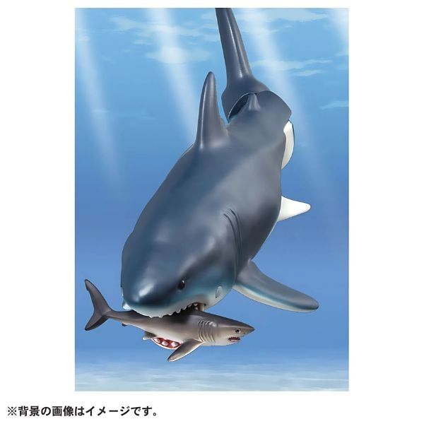 Ania AL-11 Megalodon Floating Ver - Cá Mập Khổng Lồ Dành Cho Các Bạn Đam Mê Động Vật Tiền Sử