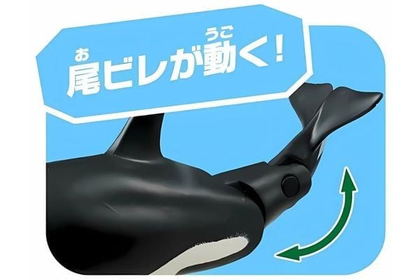 Ania AL-08 Killer Whale Floating Ver - Cá Voi Sát Thủ Có Các Khớp Cử Động Linh Hoạt