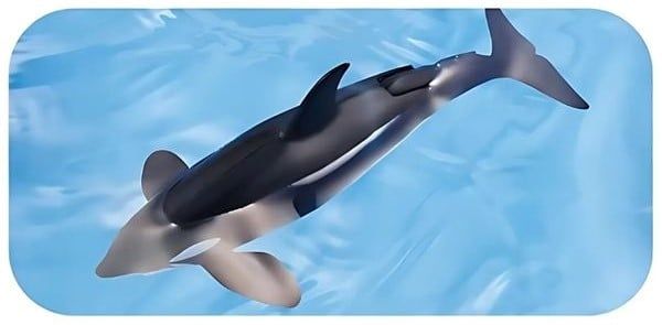 Ania AL-08 Killer Whale Floating Ver - Cá Voi Sát Thủ Chính Hãng Takara Tomy