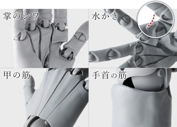Artist Support Item Hand Model R Pale Orange Kotobukiya AT021  mô hình bàn tay màu cam nhạt hỗ trợ quan sát các khớp cử động tự nhiên