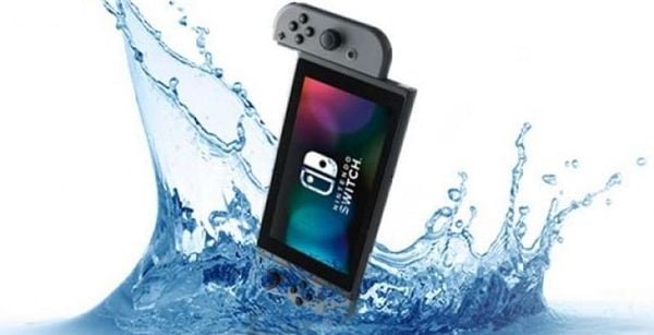 The Nintendo Switch console was dropped into the water